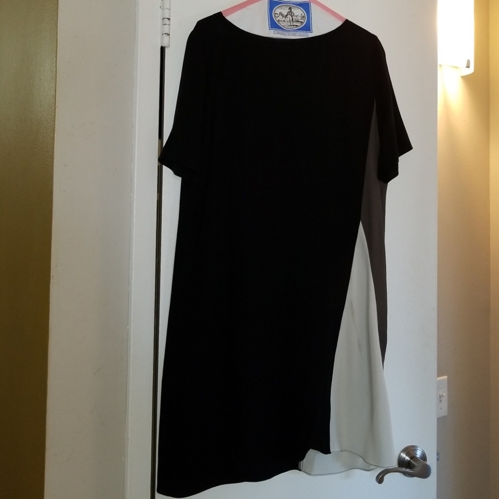 Eileen Fisher silk SS dress